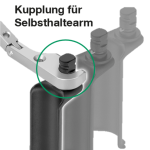 BG_NB_2_Cervicalino_DE