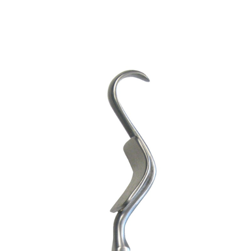 Fibula_500x500_nb