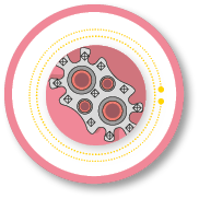 MediExpand-TL_Icon_Gezahnte Endplatten