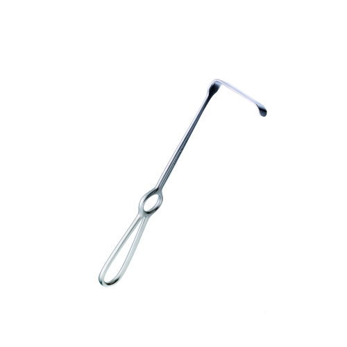 Nagata_500x500_nb2