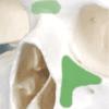 Knochenschädel_Postion der Nase. s Bild zeigt einen Schädel, bei dem zwei Bereiche grün markiert sind. Die obere grüne Markierung befindet sich am Nasenbein (Os nasale). Die größere, dreieckige grüne Markierung befindet sich am Jochbein (Os zygomaticum).