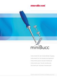 453.36.00_miniBucc