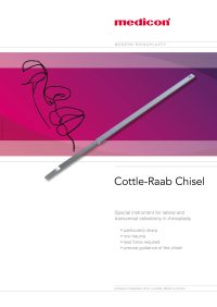 CottleRaabChisel_Cover_ENG